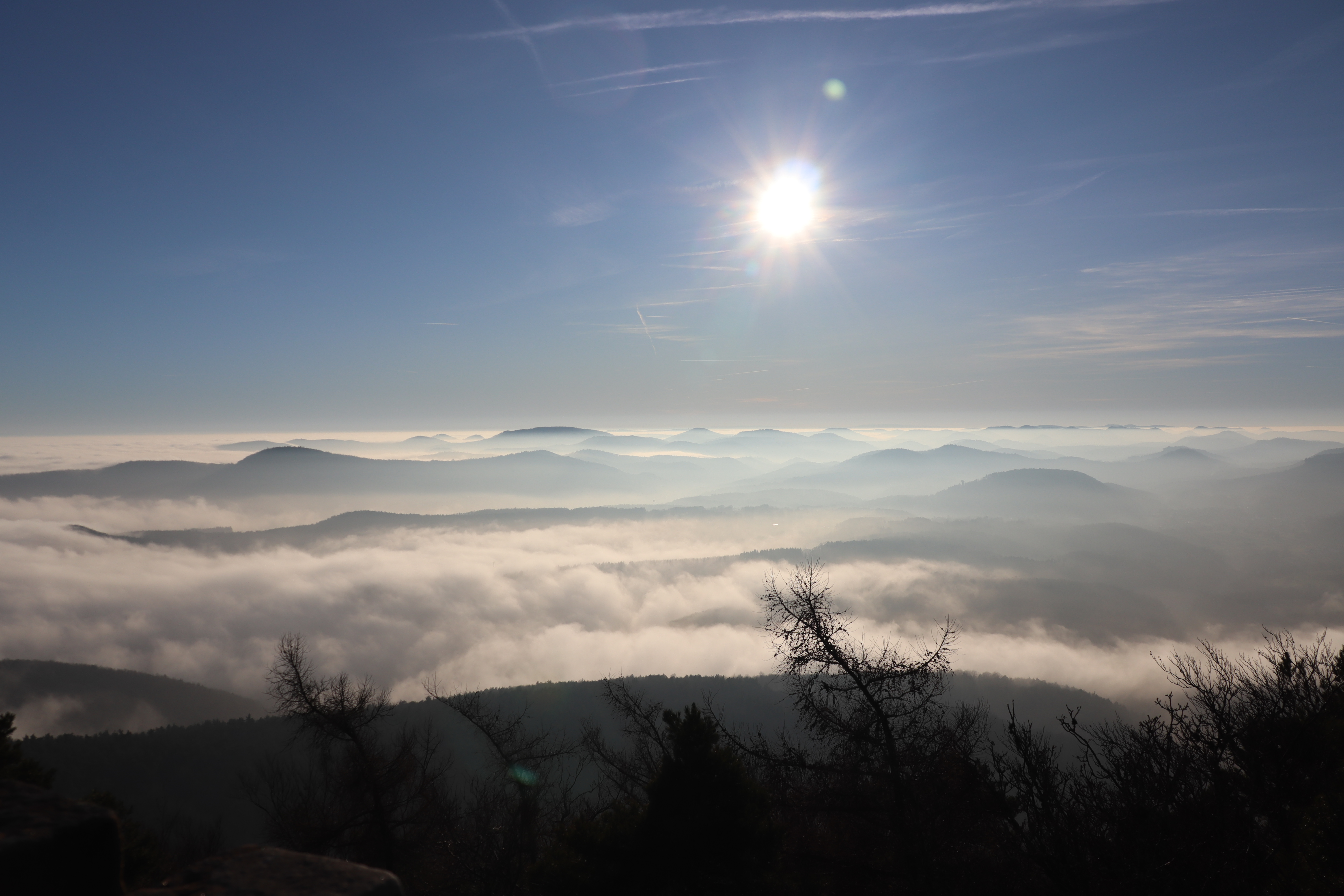Nebel - Cathrin Rieger